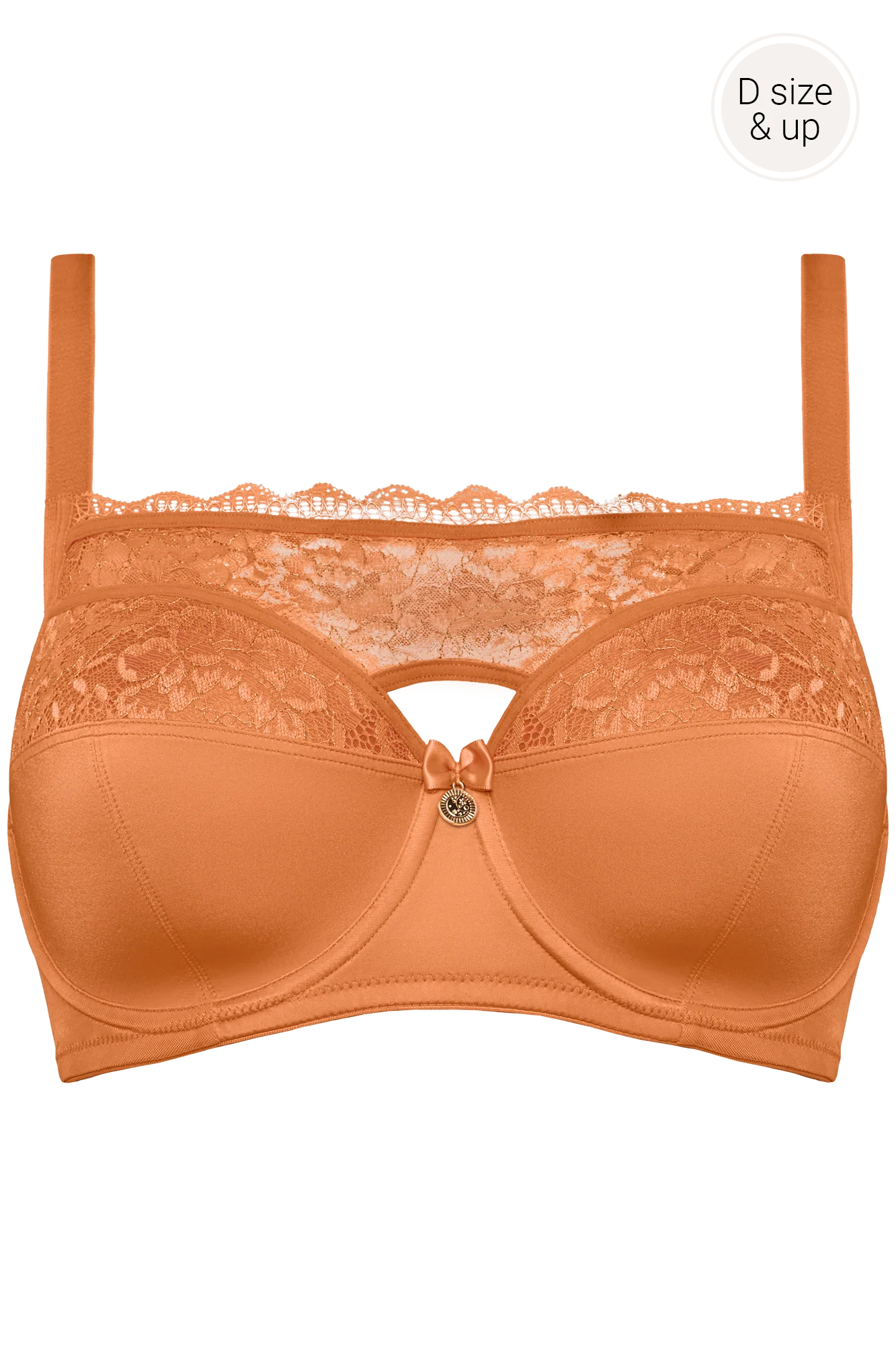 plunge balcony bra - Image 10