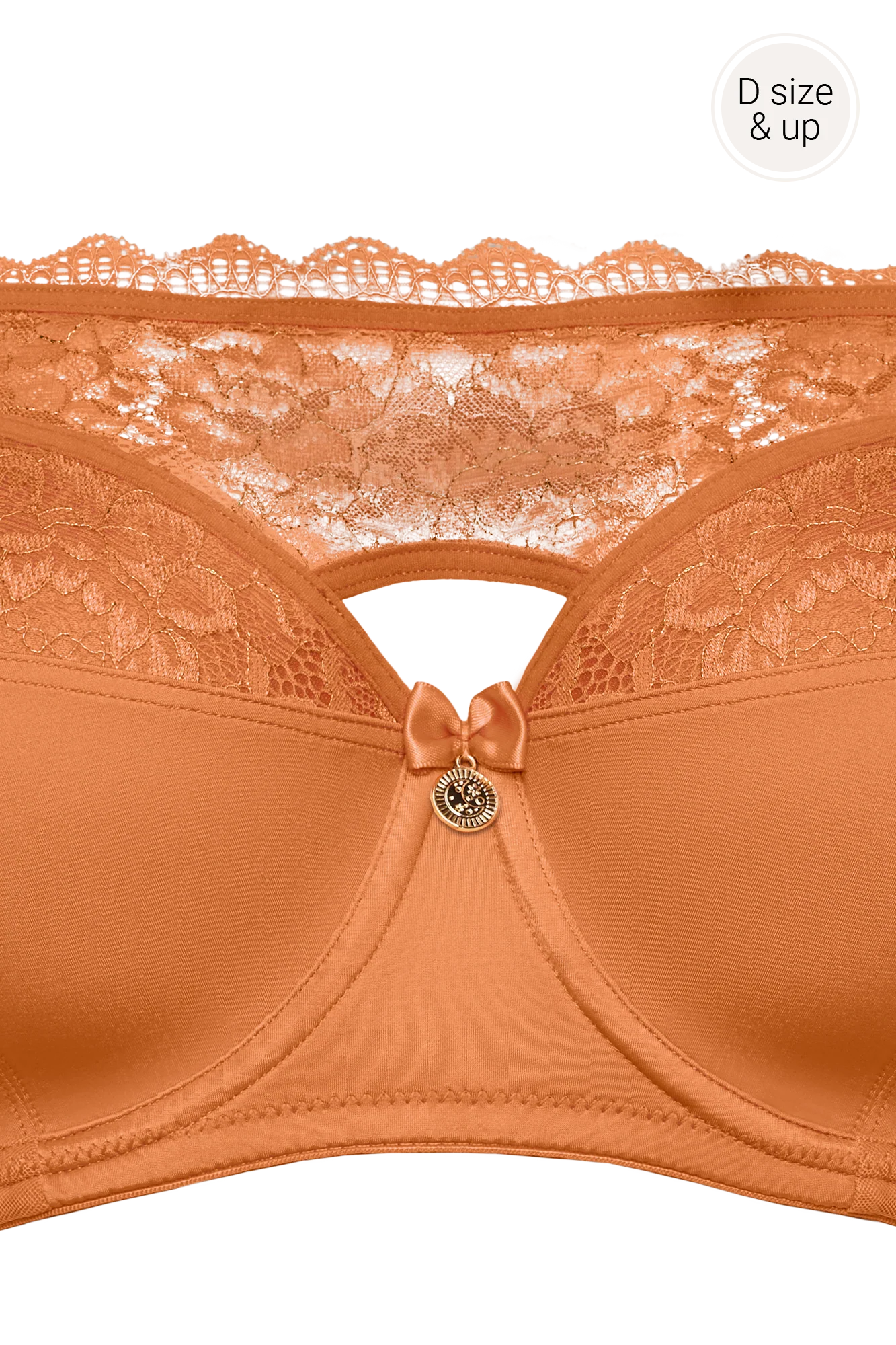 plunge balcony bra - Image 12