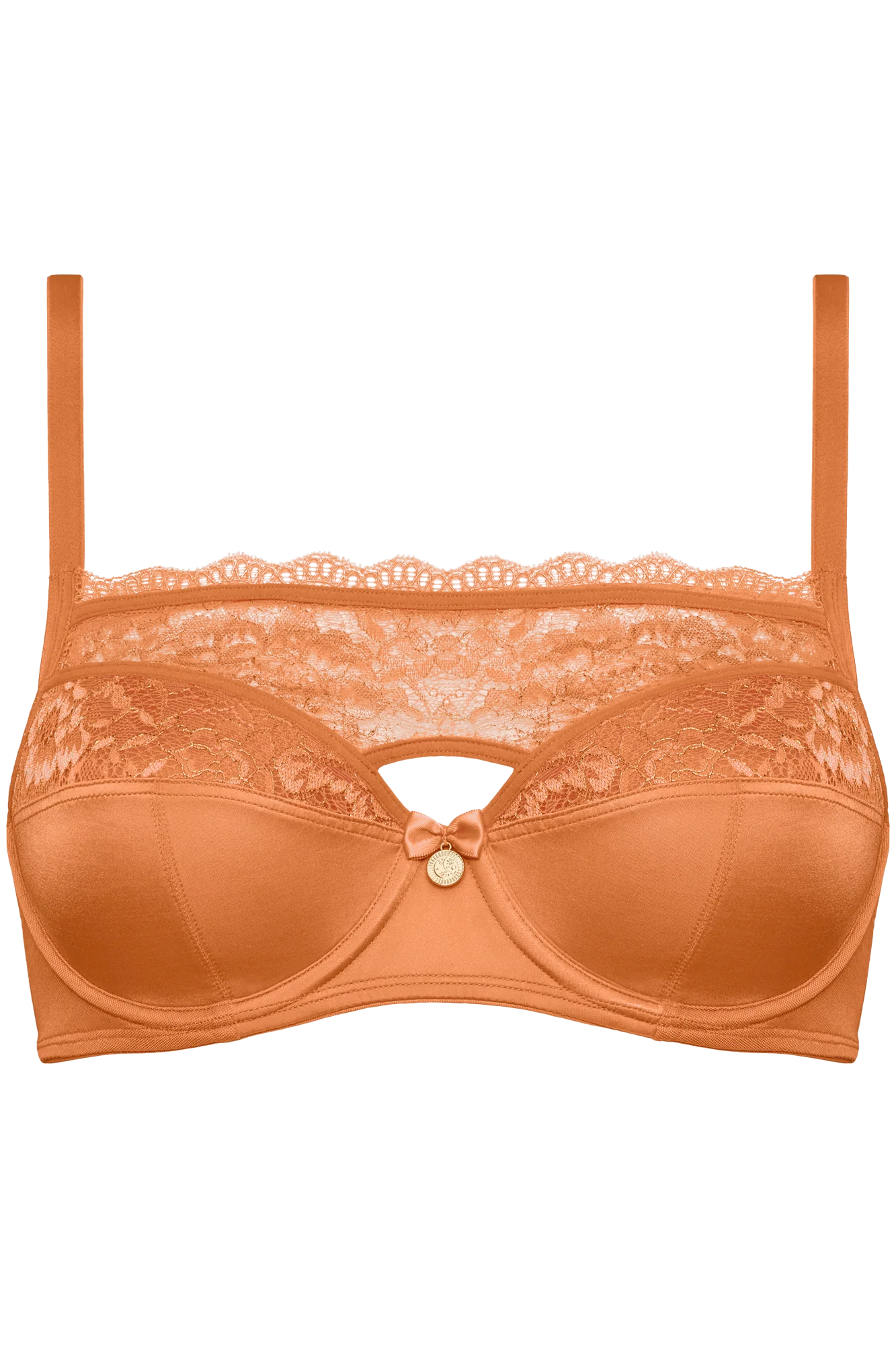 plunge balcony bra - Image 4