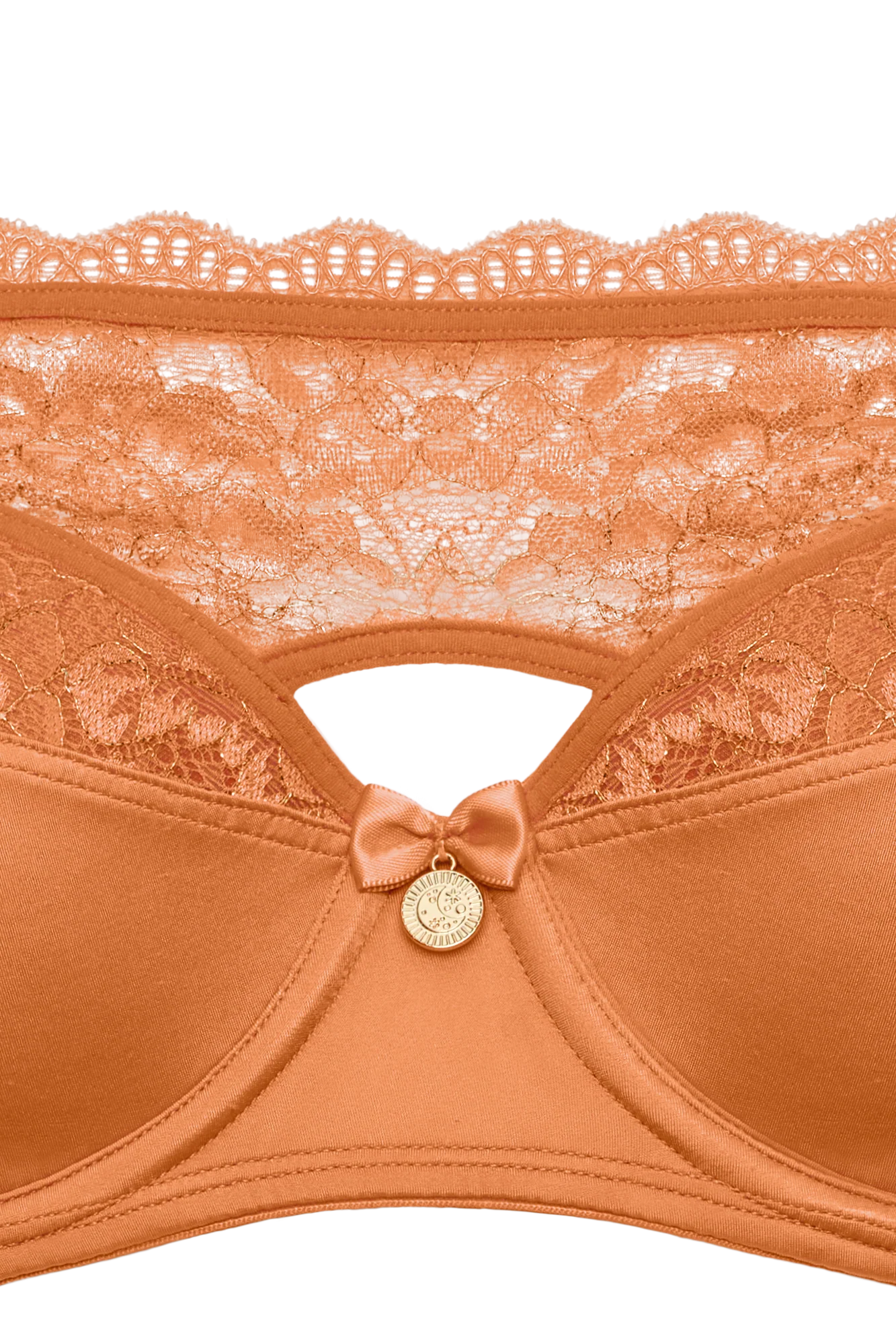 plunge balcony bra - Image 6